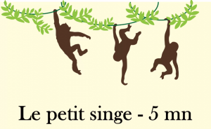 le-petit-singe-video