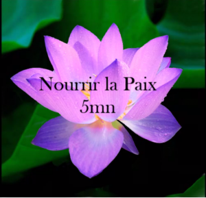 nourrir-la-paix-video