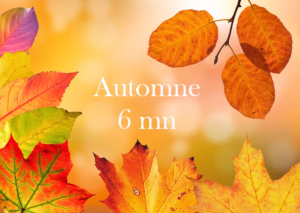 automne-video